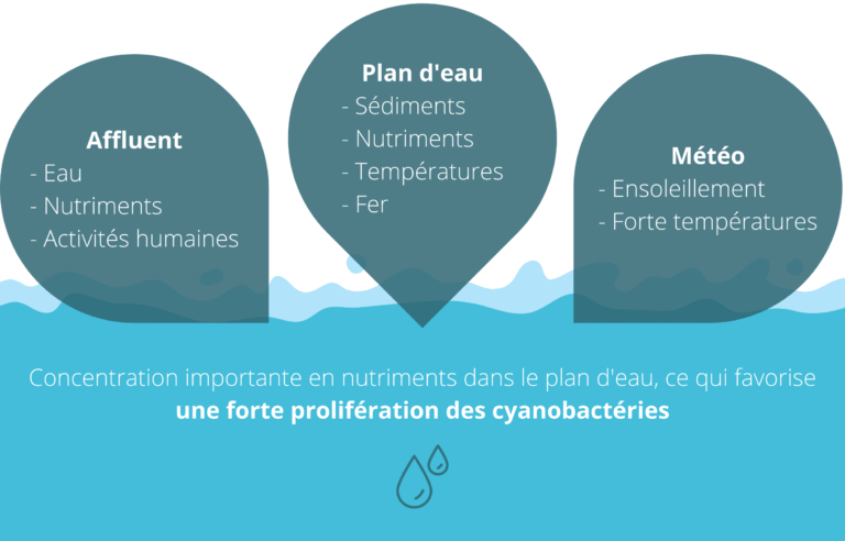 Facteurs-de-prolifération-cyanobactéries